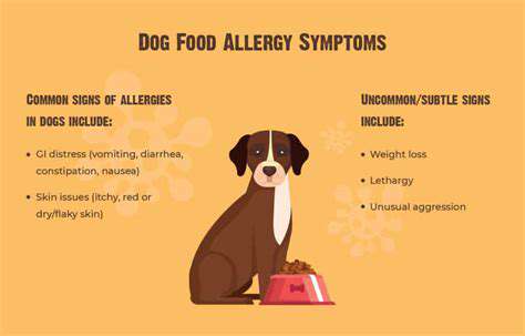 CommonSymptomsofAllergiesinDogs