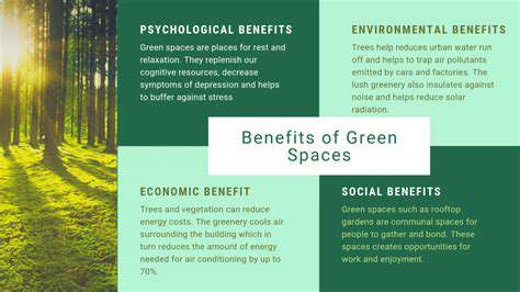 TheEcologicalBenefitsofUrbanGreenSpaces