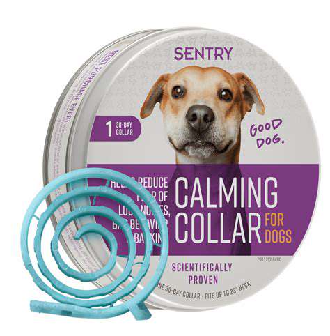 Calming Collars for Dogs: A Natural Solution for Anxiety