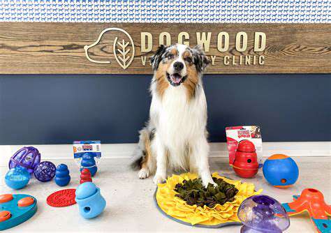 SafetyFirst:SelectingDurableandSafeDogToys