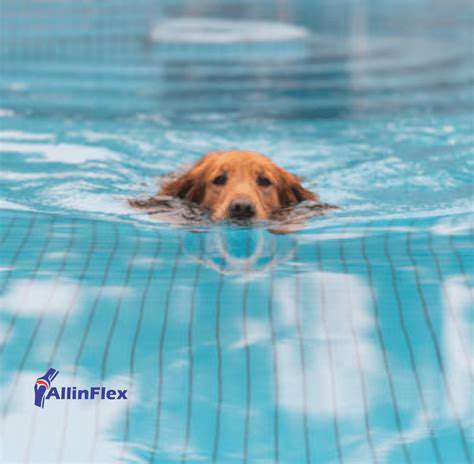 TailoredExerciseRegimensforDogswithArthritis