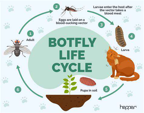 AssessingPhysicalSymptoms:LookingforCluesinYourDog'sBody