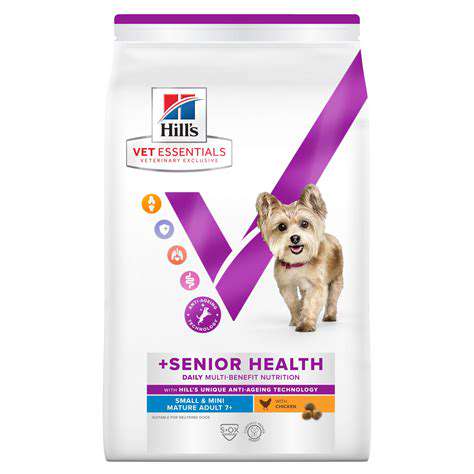 BeyondFood:SupportingSeniorDogHealth