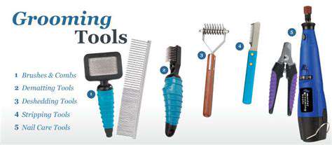 ChoosingtheRightGroomingToolsandTechniques