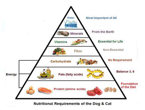 DietaryConsiderationsandYourDog'sSpecificNeeds
