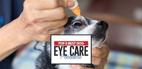 The best products for cleaning dog eye discharge