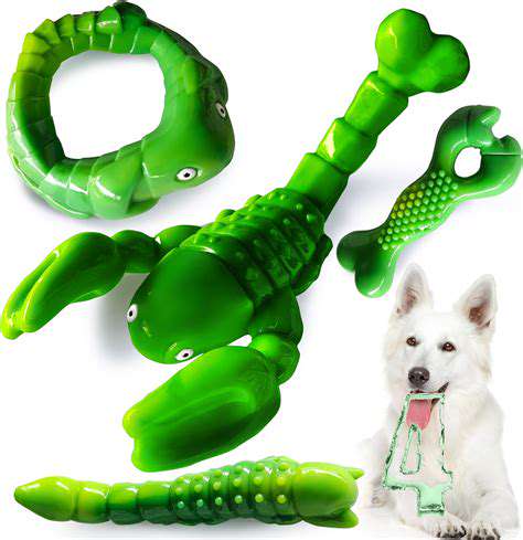 FindingthePerfectChewToyforDifferentDogBreeds