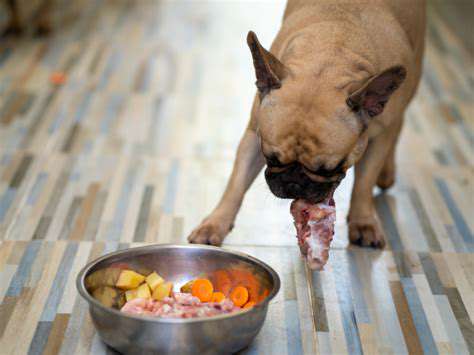 Supplements for dogs with special dietary needs