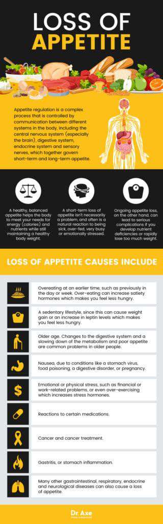 PotentialCausesofDecreasedAppetiteinHotWeather