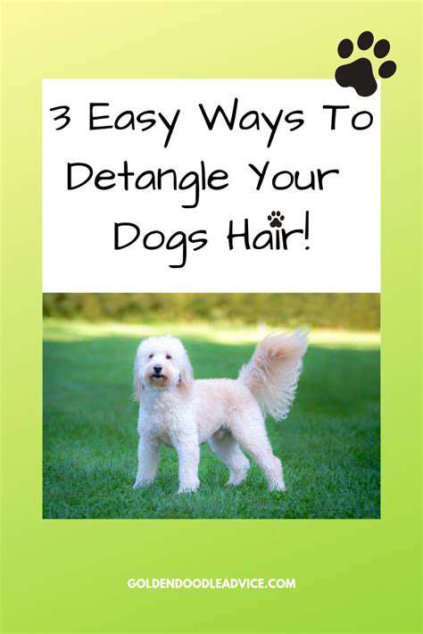How to detangle matted dog fur without hurting them