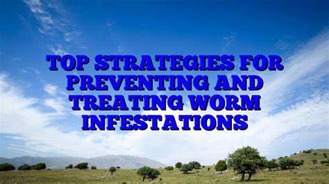 The most effective methods for deworming dogs