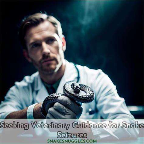 SeekingVeterinaryGuidance