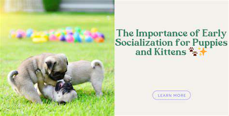 TheImportanceofEarlySocializationforPuppies