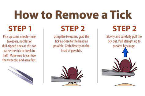 TheTickRemovalProcedure:Step-by-Step