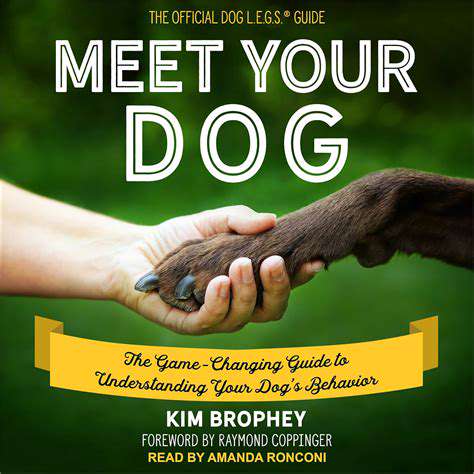 UnderstandingYourDog'sParasiteRisk:ASeasonalPerspective