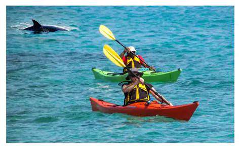 AddressingMotionSickness:TipsforaSmoothSailingRide
