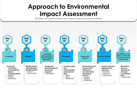 AssessingtheNewEnvironment:ACrucialFirstStep