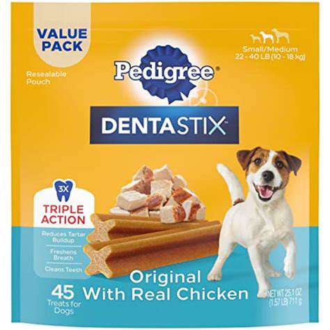 ChoosingtheRightChewforYourDog'sDentalHealth