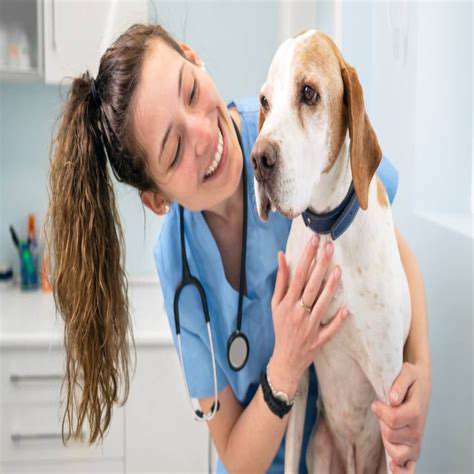 MaintainingYourDog'sCoatHealthThroughRegularGrooming