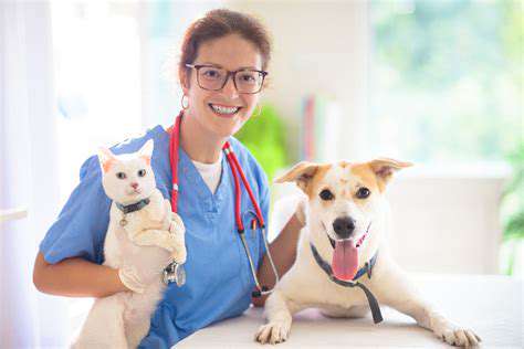 SeekingVeterinaryGuidanceandRegularCheck-ups