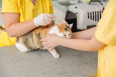 GatheringInformationandPreparingforVeterinaryCare