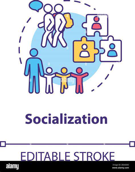 SocializationandTrainingOpportunities
