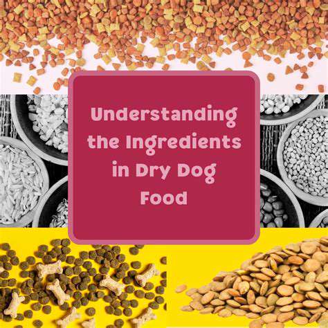 UnderstandingtheRoleofGrainsinDogFood