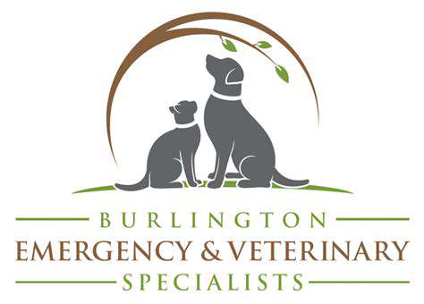 WhattoExpectDuringVeterinaryEvaluationandTreatment